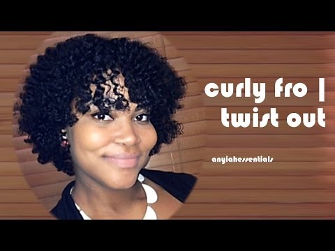 Natural Hair | Curly Fro | Twist and Curl