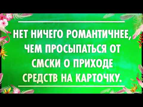 Юмор.Веселые Анекдоты "Деньги не пахнут - они благоухают..." Приколы.