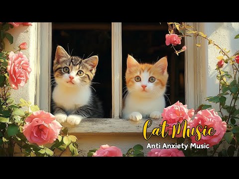 Relaxing Music For Cat:Peaceful Music Help Your Cat Friend Reduce Stress and Don't Worry When Alone🐾