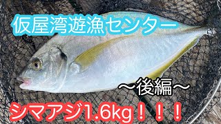 仮屋湾遊漁センター後編！時価1万円の高級魚が釣れた！！