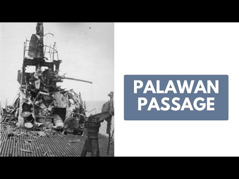 Opening Shots of Leyte Gulf: Palawan Passage