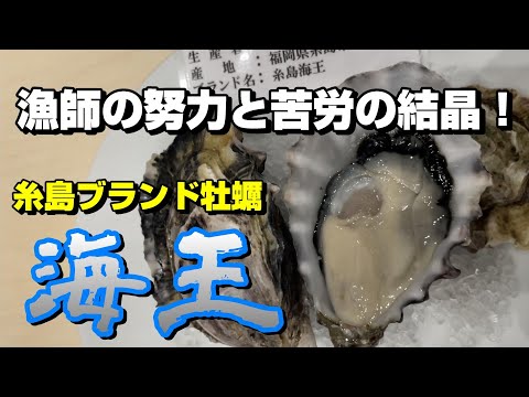 【福岡】牡蠣小屋「のぶりん」糸島のブランド牡蠣「海王」に密着取材！【83釣目】