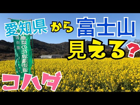 コハダの探訪 Mt.Fuji Fuji-san 愛知県から富士山は見えるの❓アウトドアへGO❣️ #YouTuberとNHK