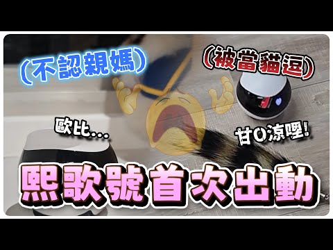 【R熙語音】逗貓棒( X 拿去逗熙歌( O | 12/24 戶外台精華 | ft. REN 熙歌