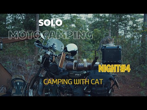 Solo Moto Camping/ Camping With Cat/ SoloRide / ASMR Eps.4