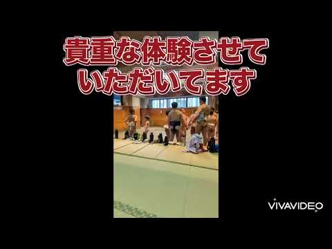 【大相撲】相撲部屋解放、春日野部屋😁貴重な経験、夏休みの思い出💪2024.8.8(木)【五十嵐相撲倶楽部】