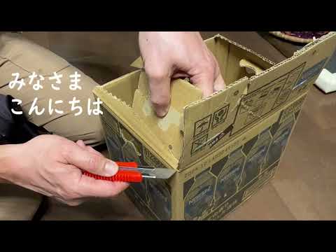 0円猫ハウス|着物暮らしの始まり