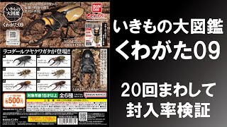 【20回まわして封入率検証】 いきもの大図鑑 くわがた09 オオクワガタやラコダールツヤクワガタはどれ位ずつ入っているのか？