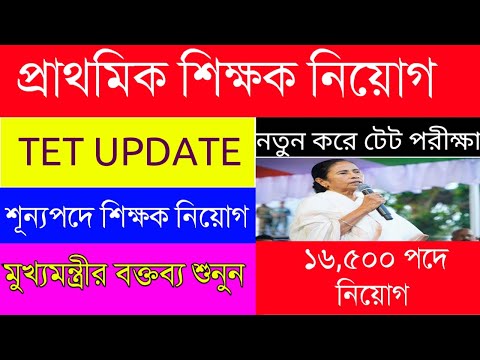 Primary TET New Update|প্রাথমিক শিক্ষক নিয়োগ|TET Recruitment|মুখ্যমন্ত্রীর বিরাট ঘোষণা|TET Intervie