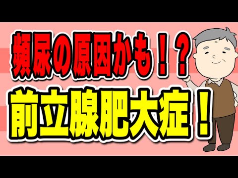 頻尿の原因かも！？高齢男性の利用者様に多い前立腺肥大症を解説！