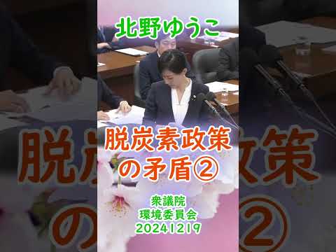 参政党【北野ゆうこ】衆議院環境委員会20241219【脱炭素政策の矛盾②】