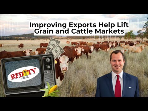 Improving Exports Help Lift Grain and Cattle Markets