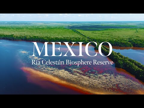 Ria Celestún Biosphere Reserve, Mexico 2021