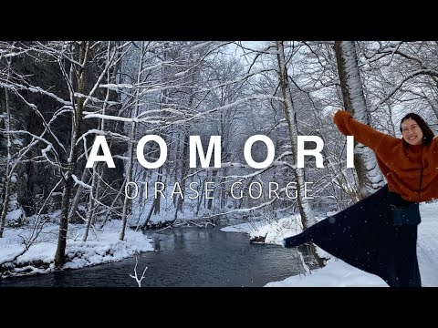 AOMORI ・TOHOKU🇯🇵 Oirase Gorge in Winter❄️ Stay at Oirase Keiryu Hotel!! Japan travel vlog