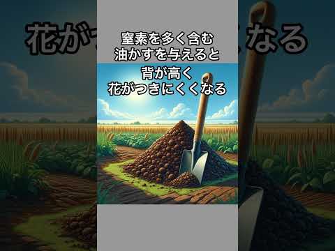 室内で植物育ててる人🖐️徒長してますか？#ガーデニング #家庭菜園 #園芸