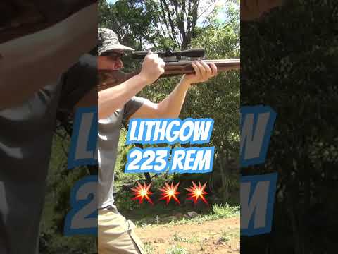 Lithgow LA102 223 #ozziereviews #lithgow #shooting #rifle #223 #556 #firearms #308 #243 #viralshorts