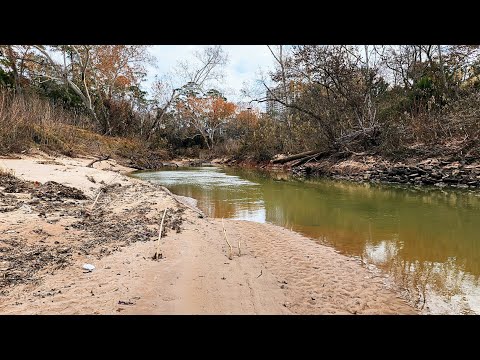 MONSTROUS Fish Live in This TINY URBAN STREAM!! (Bank Fishing)