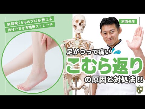 【ふくらはぎストレッチ】プロが教える「足がつる！こむら返りの原因と対処法を、専門家が徹底解説！」｜愛知県の接骨院ならテラピスト接骨院