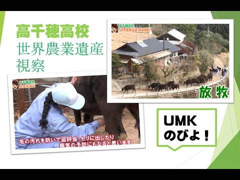 高千穂高校　『世界農業遺産の現地視察』　UMKのびよ！2月18日放送