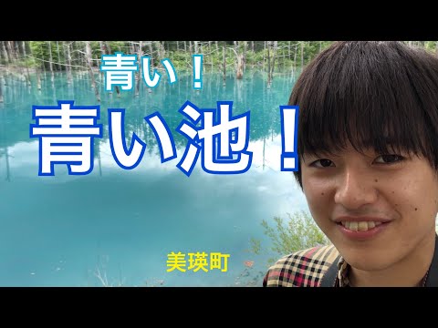 【Hokkaido】My travel to Blue pond in Biei