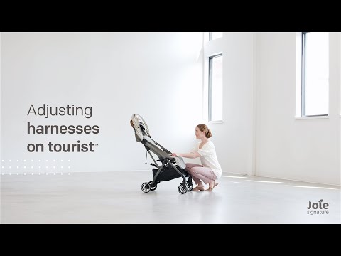 Joie Signature tourist™ | How to adjust the harness height