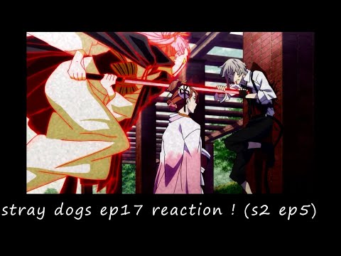 SUPPERMANS BIRTH STORY~stray dogs ep17 reaction ! (s2 ep5)