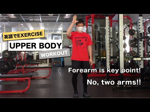 Upper Body Workout (Chest, Back, & Arms)