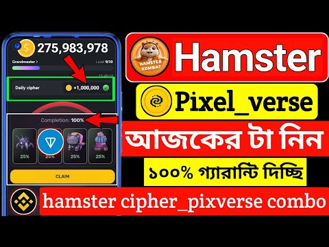 👉 hamster kombat daily cipher । pixverse daily combo today । hamster kombat । pixverse । Daily Combo