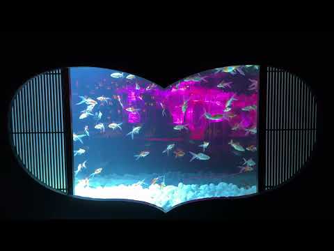 金魚泳ぐ幻想秋夜 (Part 3) -- アートアクアリウム美術館GINZA / ART AQUARIUM Museum GINZA (2024/10/4)