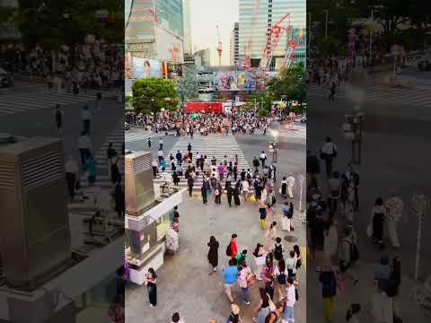 渋谷の交差点はすごい The intersection in Shibuya is amazing #japan #日本 #東京 #shibuya #渋谷 #スクランブル交差点 #shorts