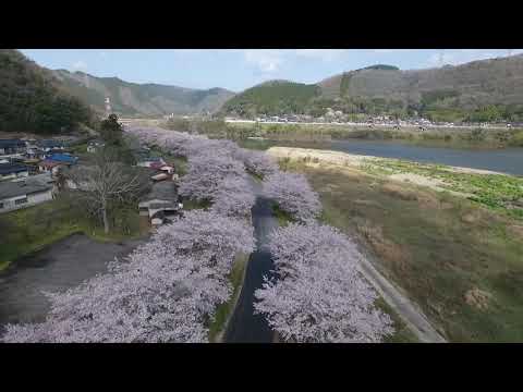 2019/4/10 岡山県赤磐市稲蒔　桜空撮