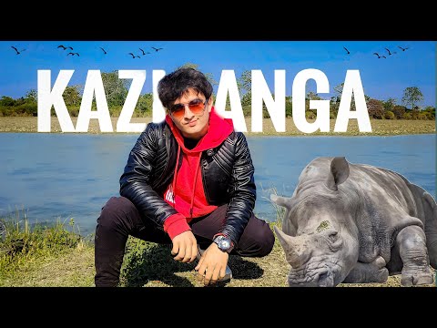 Kaziranga National park || Jungle of Assam | India