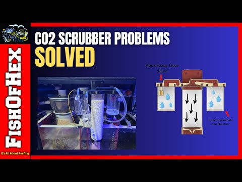 Keep Your Reef Tank Safe When Using A CO2 Scrubber | In-depth Look At The Hex Scrubber