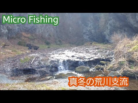 【Micro Fishing】真冬の荒川支流で小物釣り　　　