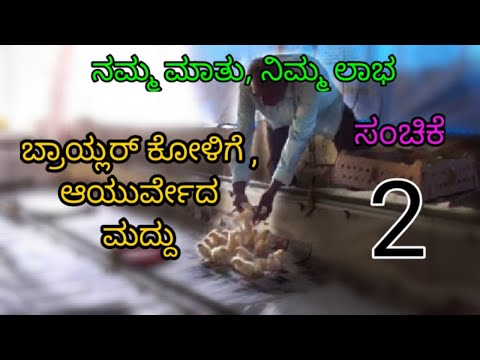 ಕೋಳಿ ಮರಿಗಳು ಬಂದ ಮೊದಲೇ ದಿನ || ಸಂಚಿಕೆ-02 || Preparation for First day chicks || Episode-02 ||