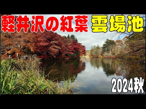 2024年秋の紅葉　『雲場池』　長野県北佐久郡軽井沢町