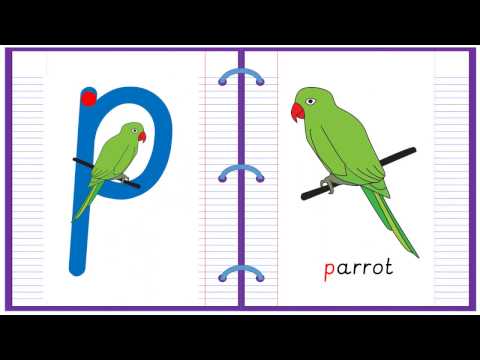 Lowercase Alphabet Letter P Learn to Read and Write