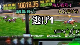 【新プログレ】20話　逃げMax.1　生産～三歳戦　脚質バトル　スターホースプログレスR　Max発動動画　マックス馬　ふじまるゲーム　ゲーセン動画　競馬ゲーム