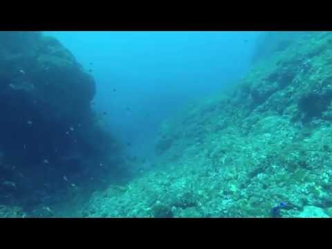 ５月上旬の八丈島で素潜り！Freediving in Hachijo-Island, Japan