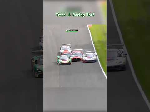 Driver is ok but don’t no about the trees!🌲| Motorsport Moment