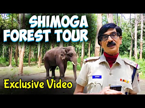 Shimoga Forest Tour | Exclusive Video | Manobala Shooting Vlog | Mullaikothandam | Wastepaper