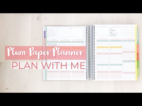 My First Plum Paper Planner! | Plan With Me!