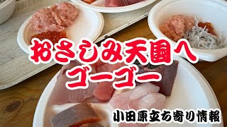 【立ち寄りスポット　小田原で食べ放題　おさしみ天国ゴーゴー】