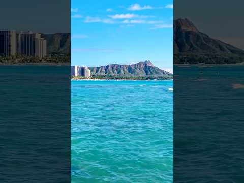 #ハワイ #ワイキキ #亀 #風景 #音楽 #ハワイ好きな人と繋がりたい #ハワイ旅行 #安全安心 #jalpak #hawaii #aloha 🤙