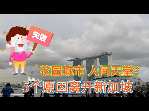 花园城市 人间天堂？5个原因离开新加坡#价值投资 #美股投资​ #中国股市 #投资策略​ #美股​ #A股 #港股