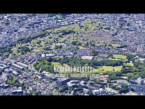 Negishi Heights:  Google Earth Studio tour