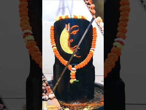 Mahadev status video 💫 bholenath status ☘️ mahakal status #mahadev #shorts #god #love #viralvideo