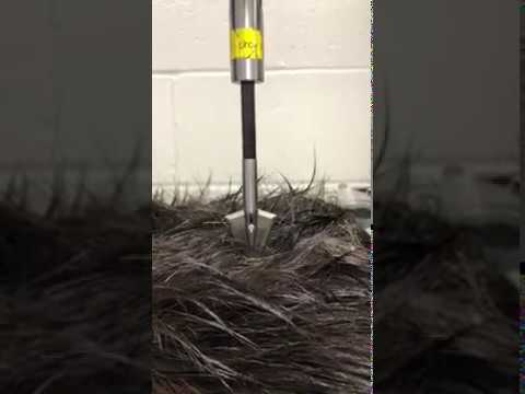 Broadhead Force Testing on Moose Hide