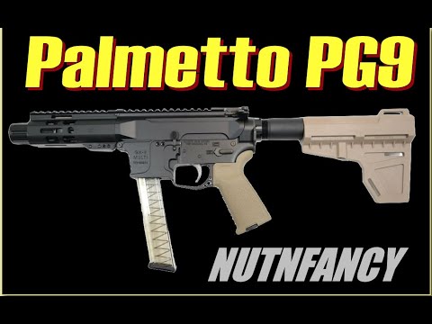 Palmetto PG9 9mm: Half the Price, Just As Good