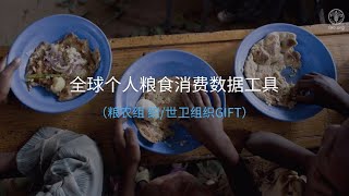 粮农组织/世卫组织GIFT | 全球个人食品消费数据工具